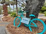208 Sea Cloud Circle - Photo 39