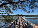 1149 Ship Builder Street - Photo 6