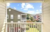 9204 Southern Oak Lane - Photo 29