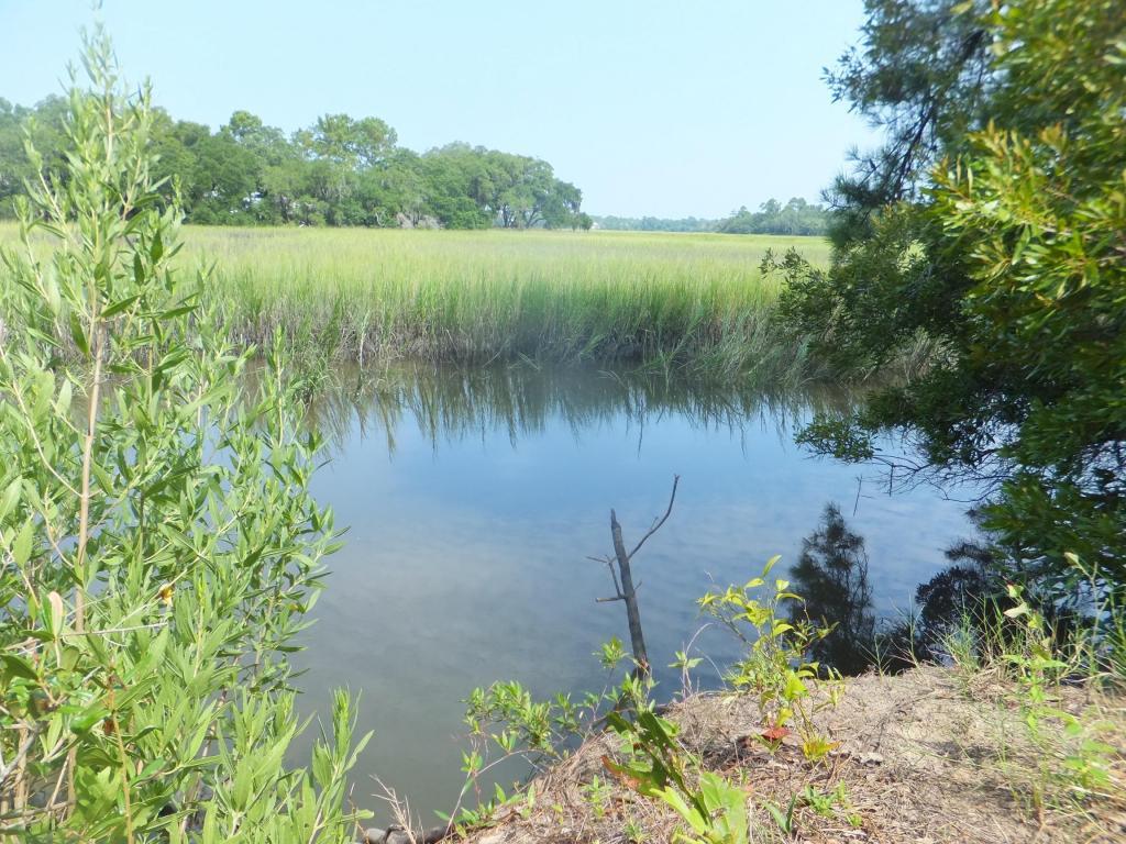 0 Bears Bluff Road - Photo 1