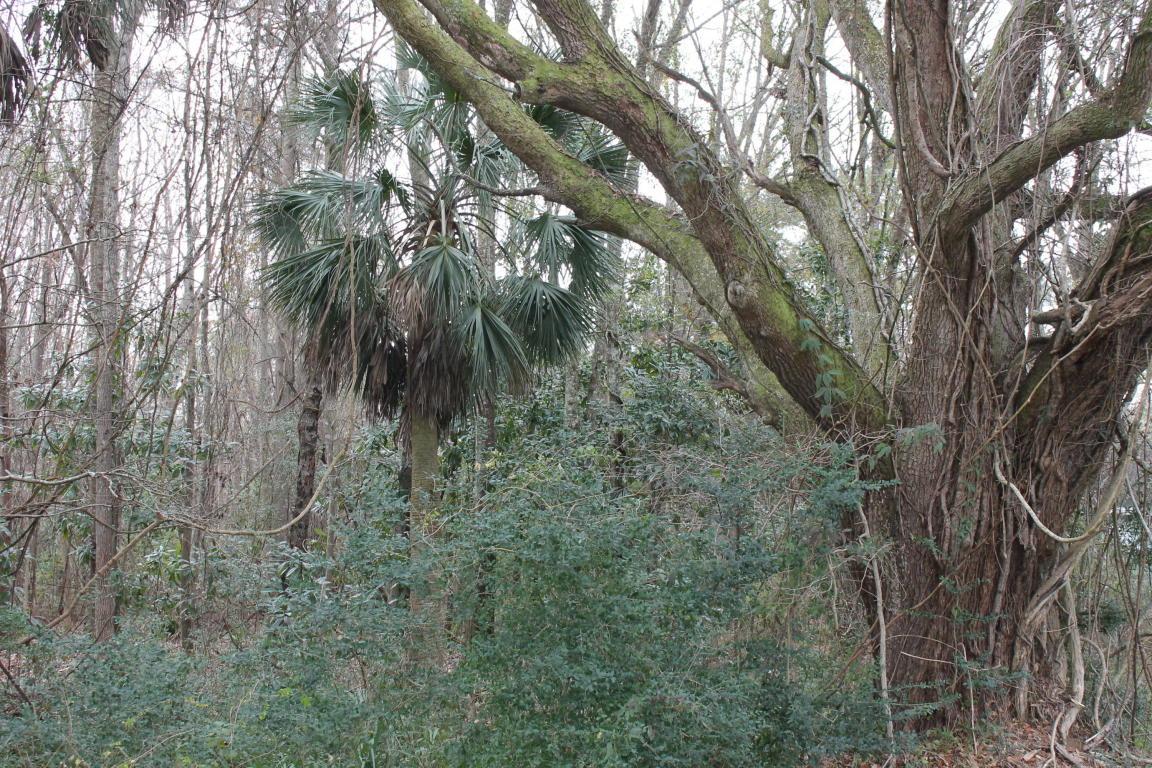 0 Highway 162 - Photo 1