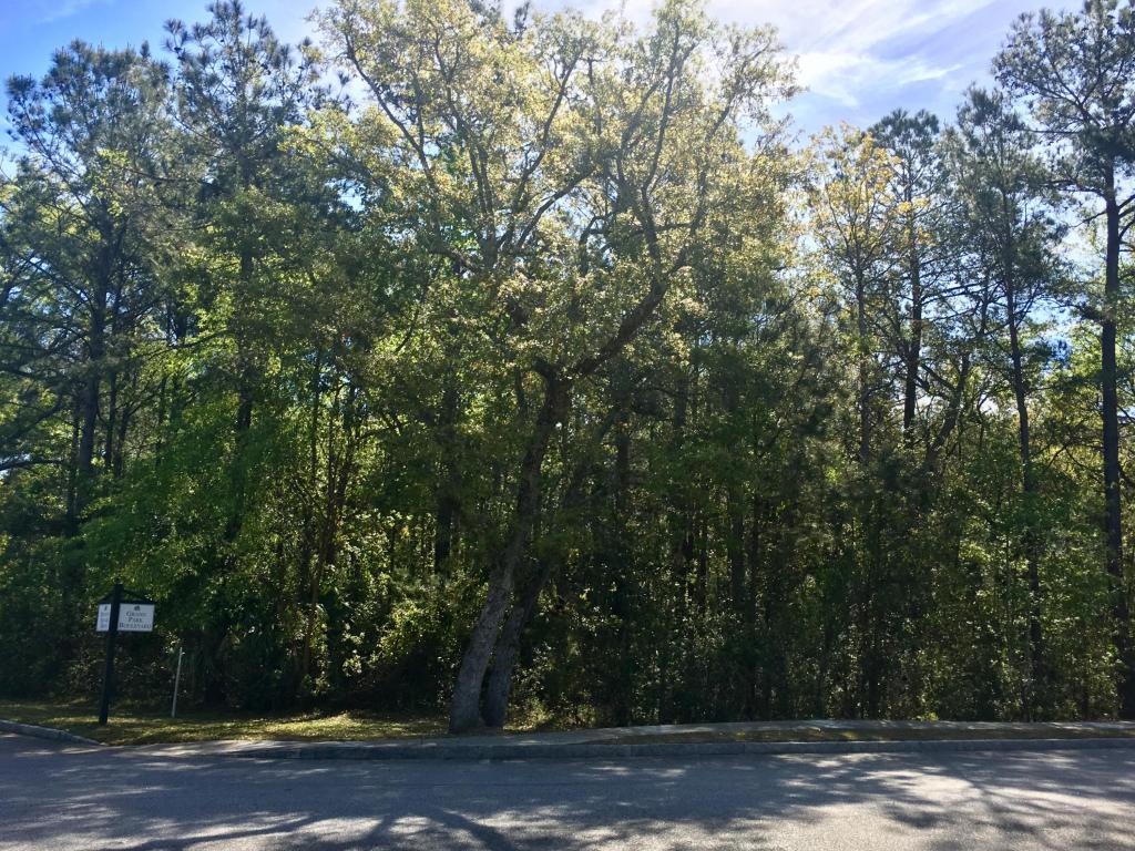 250 Grand Park Boulevard - Photo 1