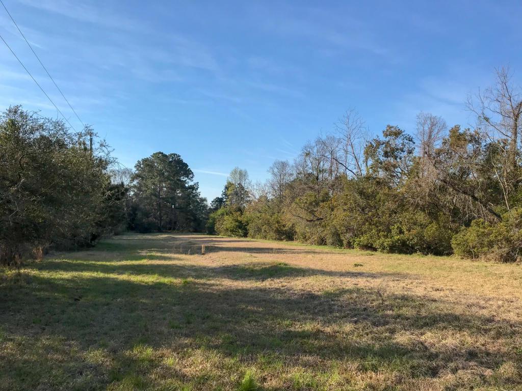 0 Harts Bluff Road - Photo 1