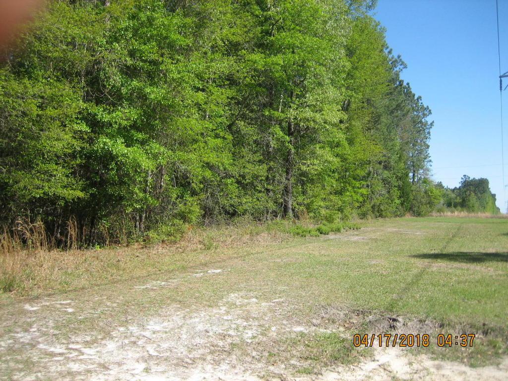 0 Cottonwood Lane - Photo 1