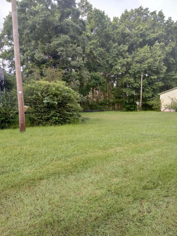 1123 N. Highway 17 Highway - Photo 1