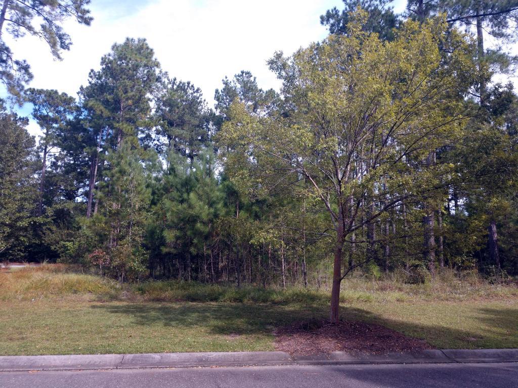 219 Summer Breeze Way - Photo 1