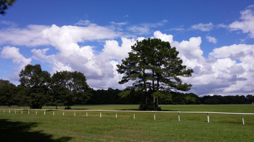 0 Highlander - Photo 1