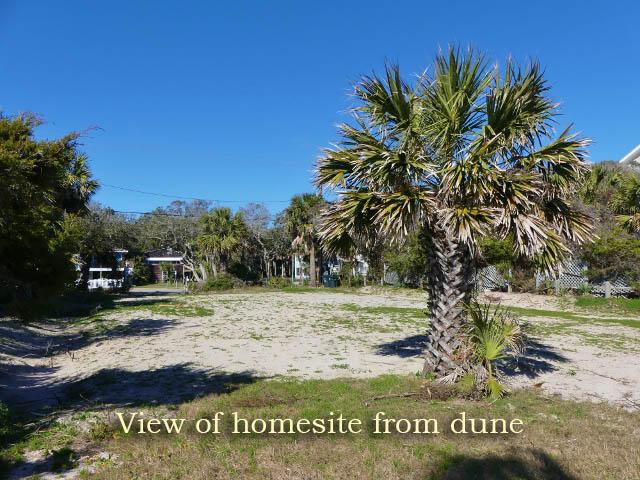 1102 Palmetto Boulevard - Photo 1