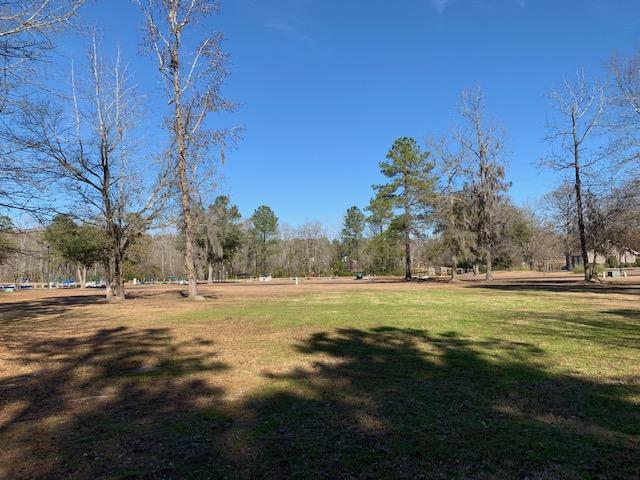 129 Wood Lake Drive - Photo 1