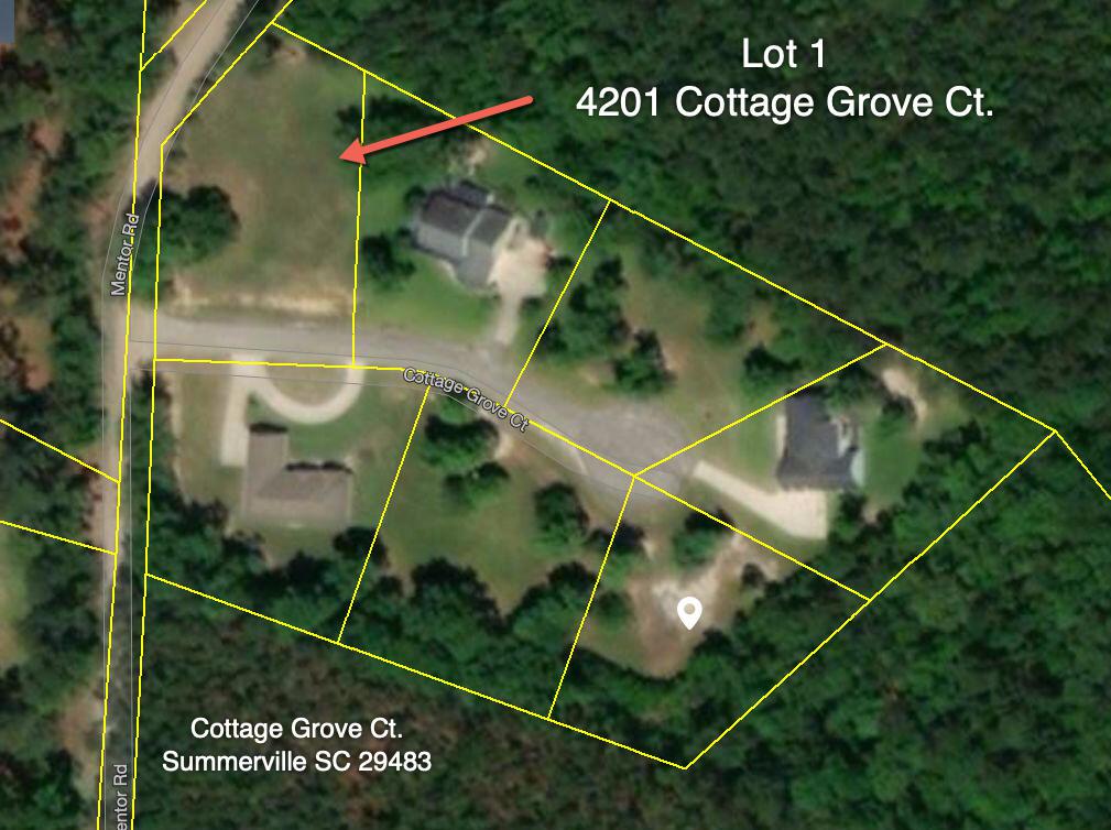 4201 Cottage Grove Court - Photo 1