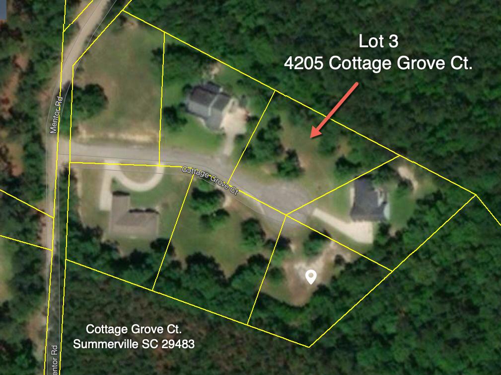 4205 Cottage Grove Court - Photo 1
