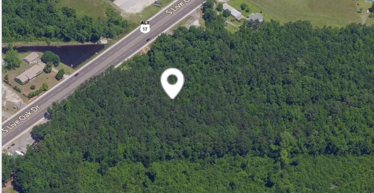 826 Live Oak Drive - Photo 1