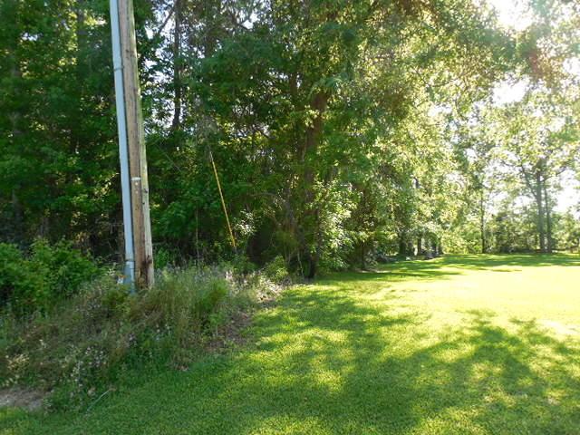 1105 Cass Drive - Photo 1
