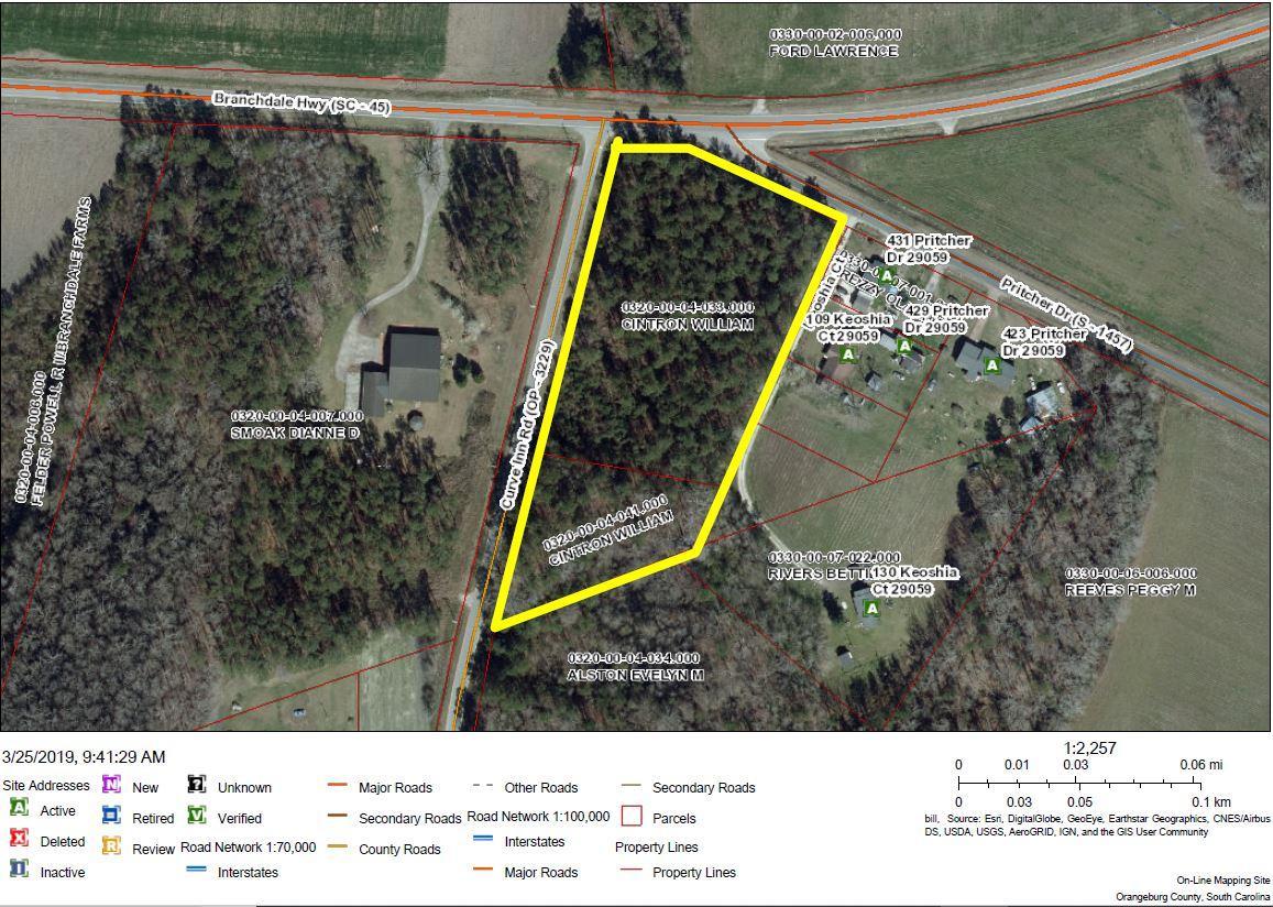 0 Branchdale Highway - Photo 1