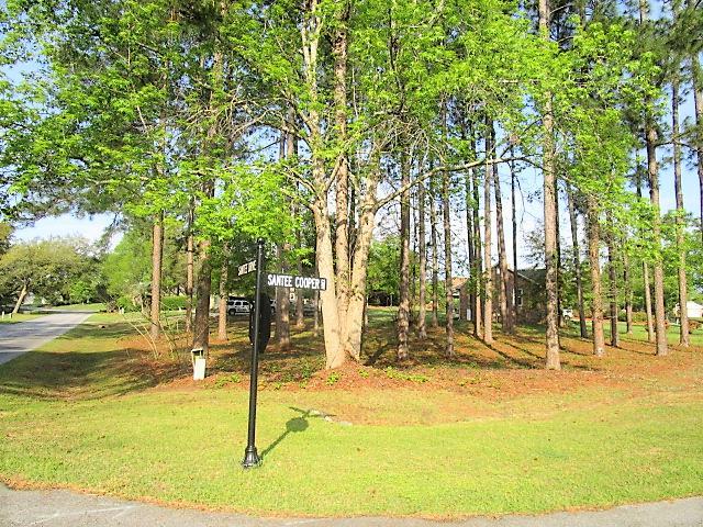 0 Santee Dr/Santee Cooper Annex Drive - Photo 1