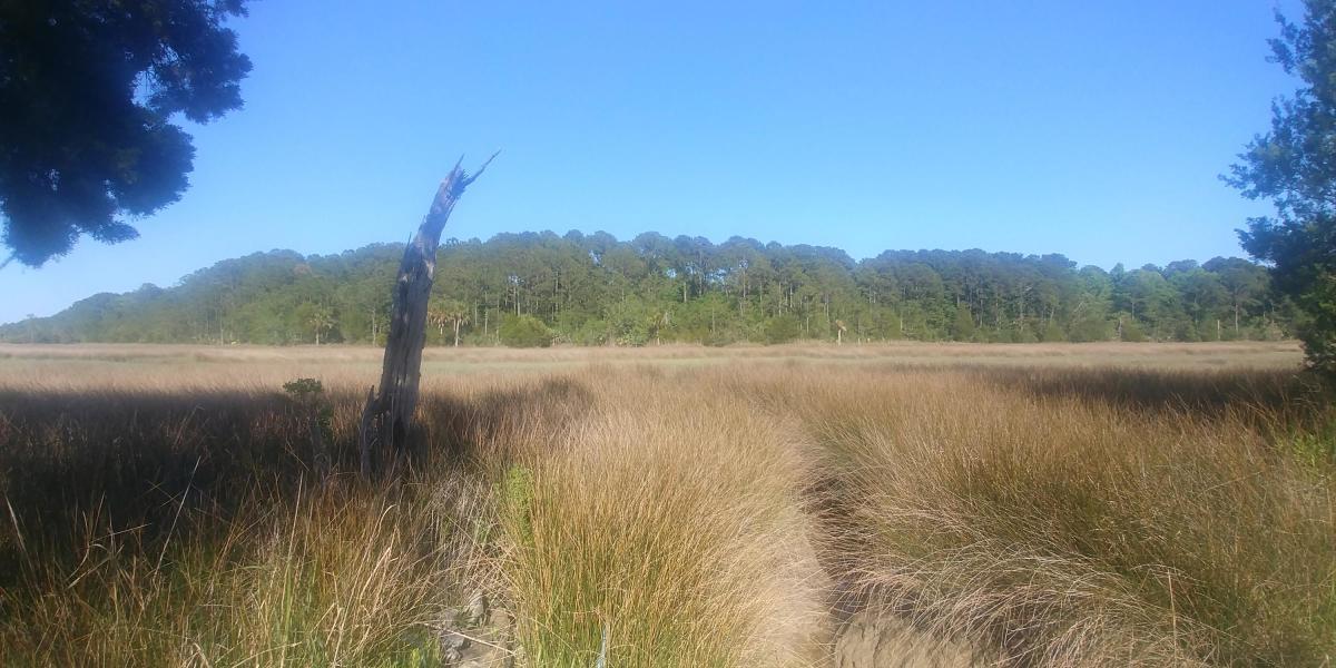 1789 Highway 41 - Photo 1