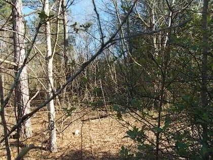 0 Hwy 52 - Photo 1
