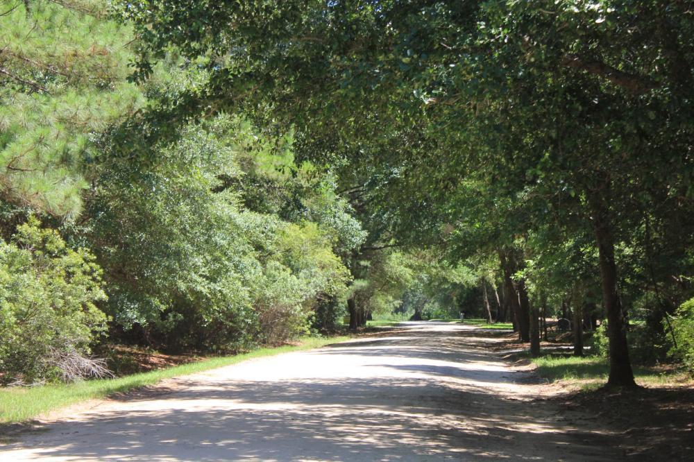 0 Mossey Grove Rd - Photo 1