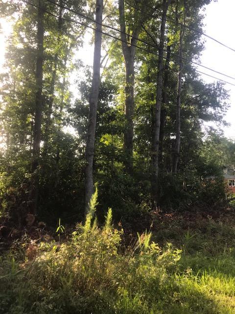 0 Poplar Street - Photo 1