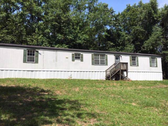 347 Bird Dog Lane - Photo 1