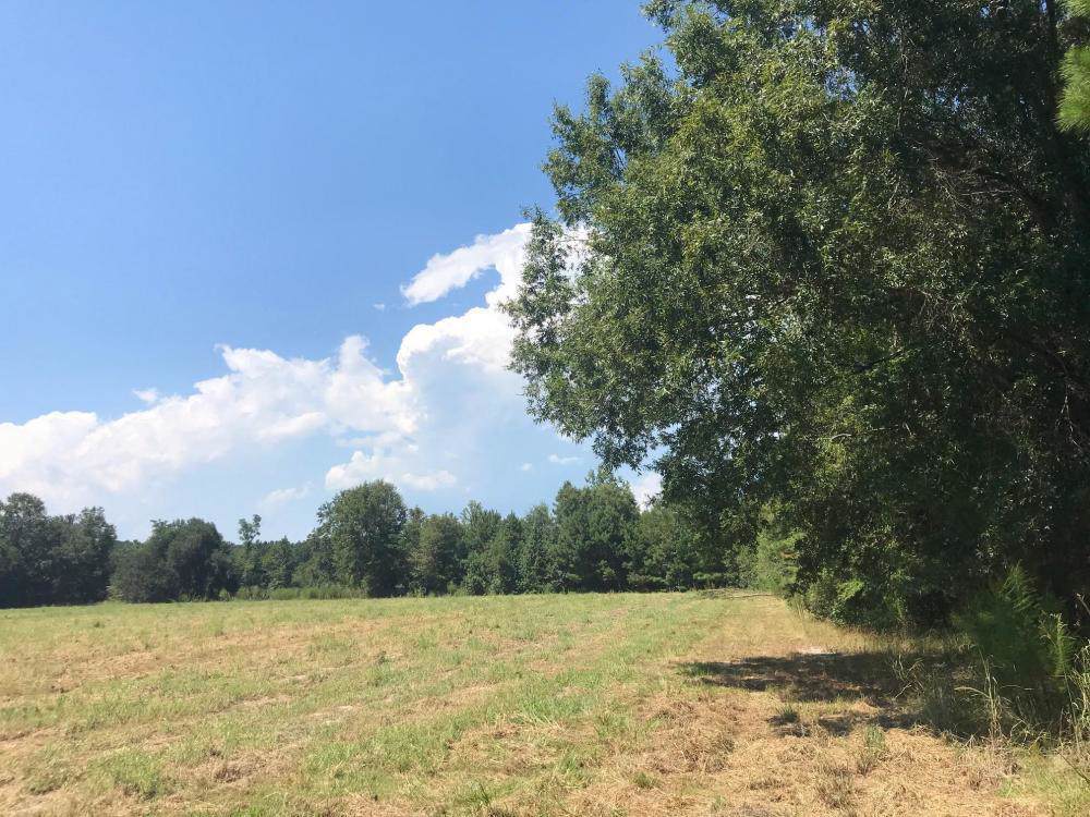 0 Dennis Ridge Road - Photo 1