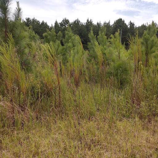 638 Target Road - Photo 1