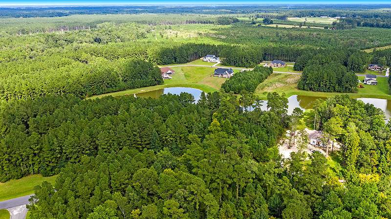 1092 Wassamassaw Plantation Dr - Photo 1
