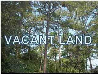 0 Gadsden Loop - Photo 1