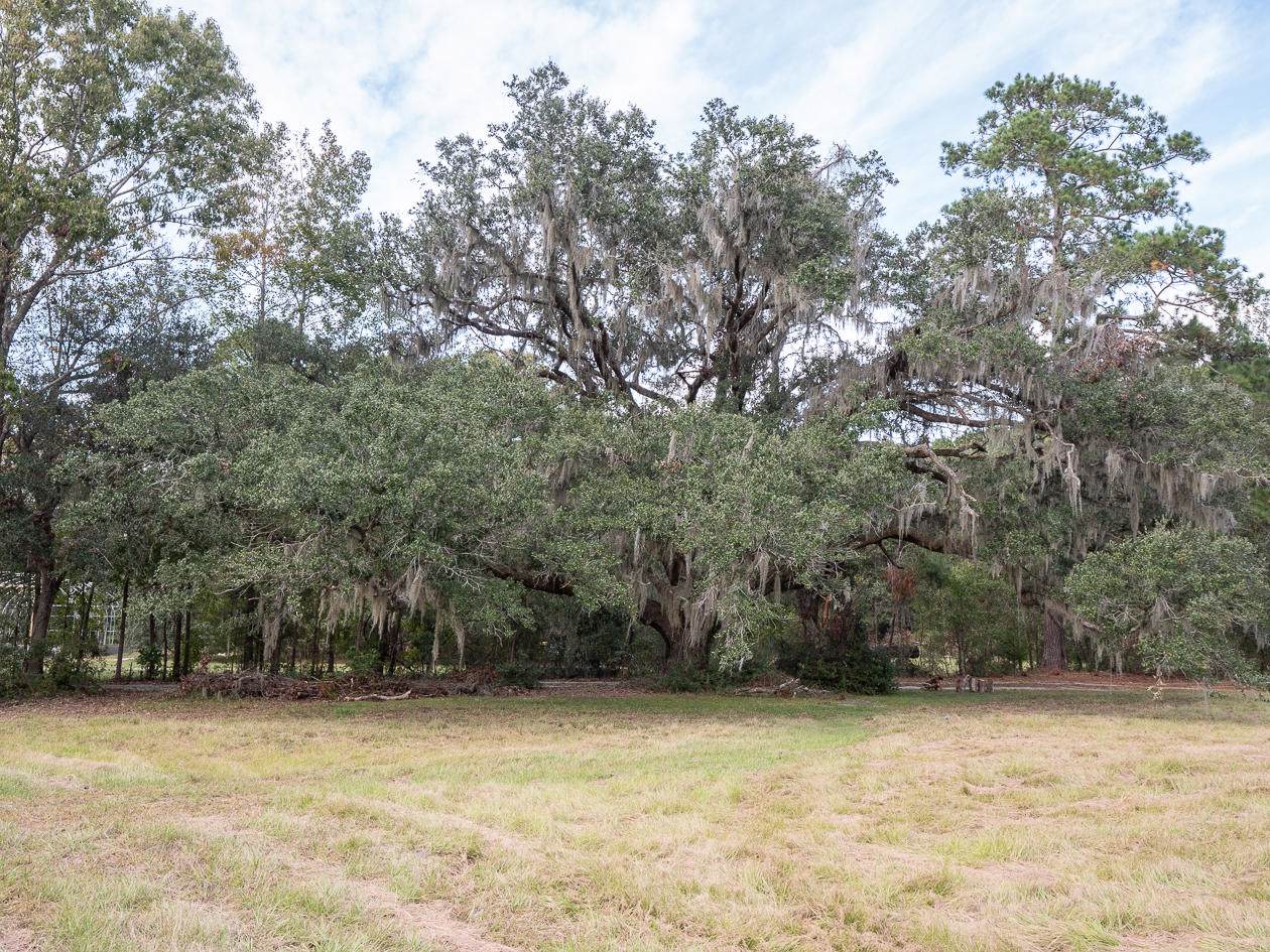3812 Belvedere Road - Photo 1