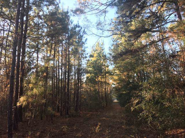 0 Santee River Road - Photo 1