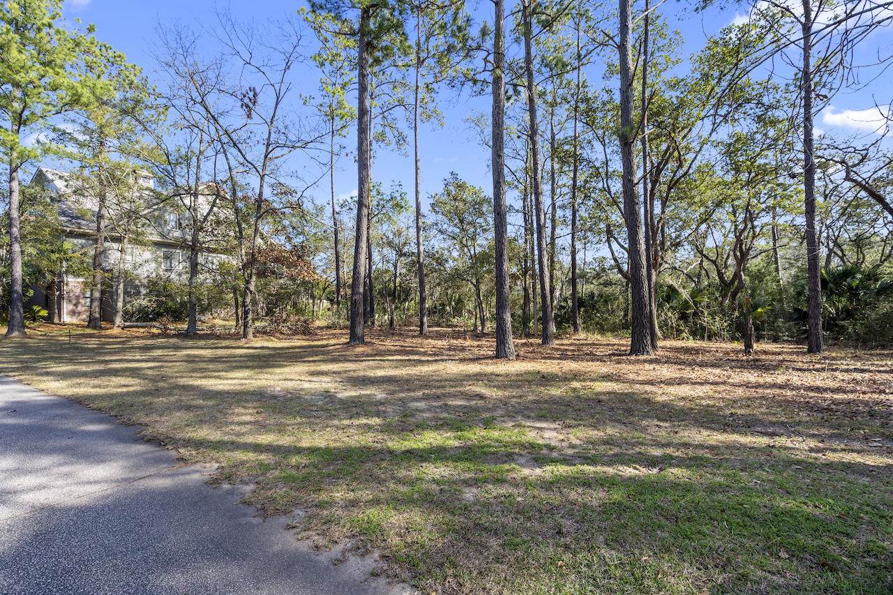 44 Watroo Point - Photo 1