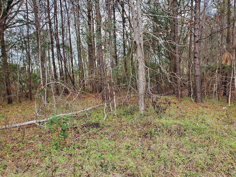8321 Old Jacksonboro Road - Photo 1