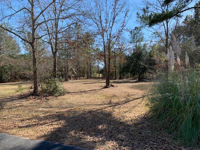 304 Lake Arbu Drive - Photo 1