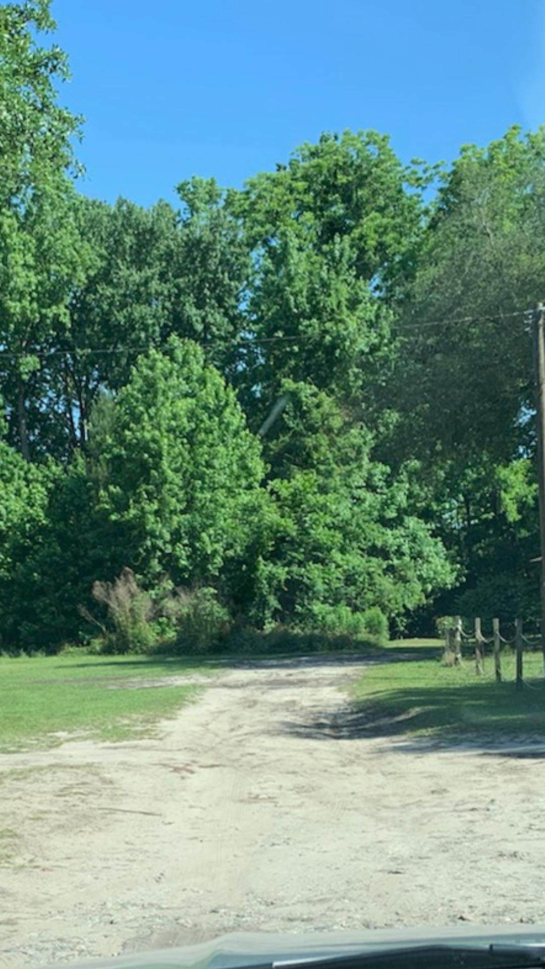 0 Highway 162 - Photo 1
