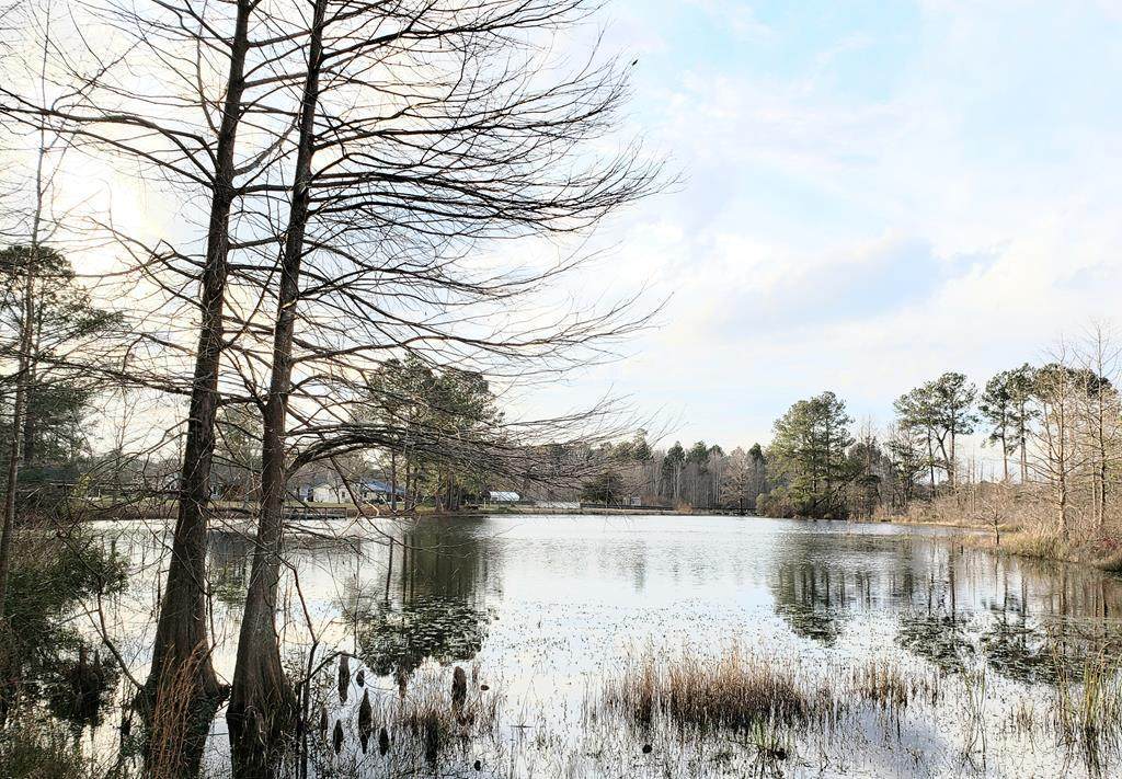 Tbd Fountain Lake Drive - Photo 1
