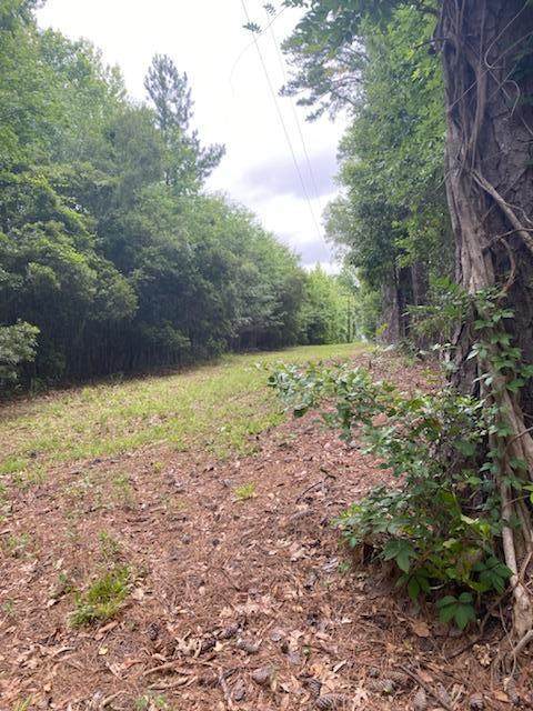 0 Ritter Road - Photo 1