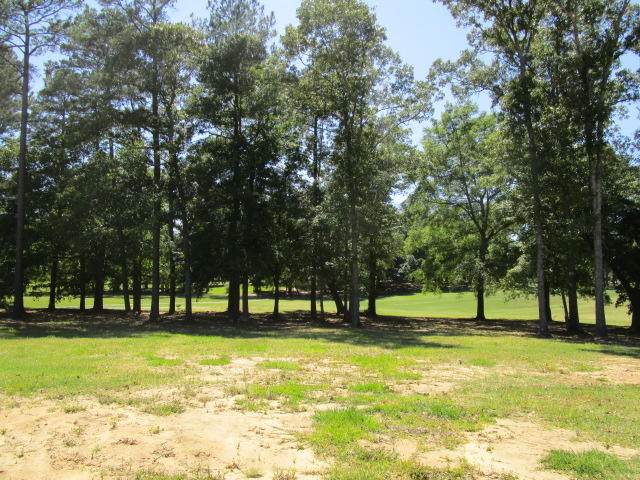Lot 3 Saluda Drive - Photo 1
