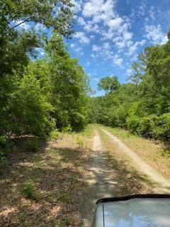 5195 County Line Road - Photo 1