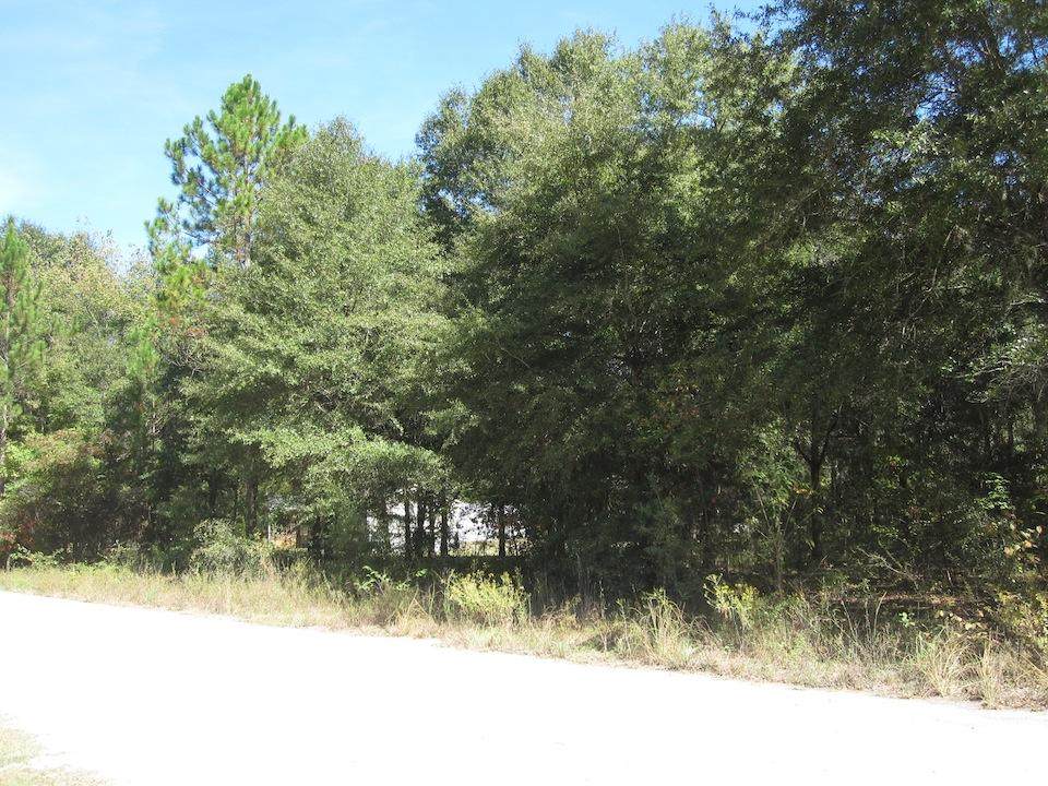 Lot 86 Birch Drive - Photo 1