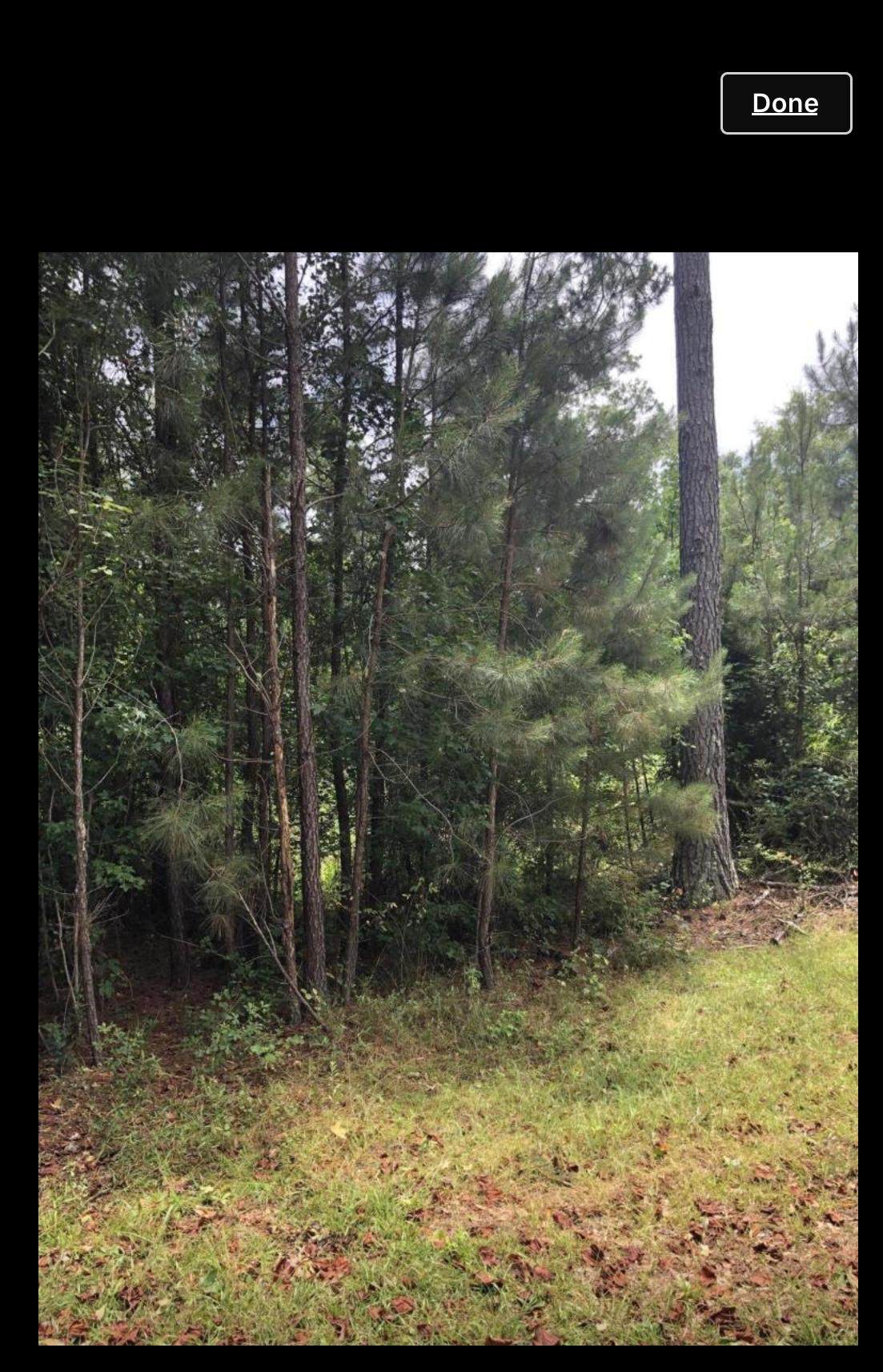 0 Red Oak Road - Photo 1