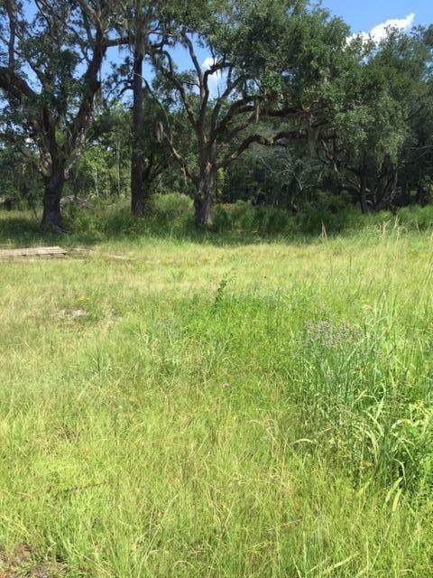 7250 Hwy 17 - Photo 1