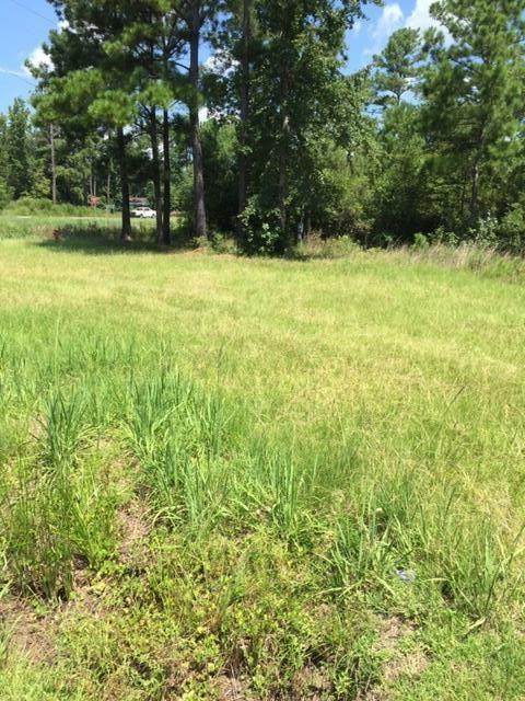 6445 Hwy 17 - Photo 1