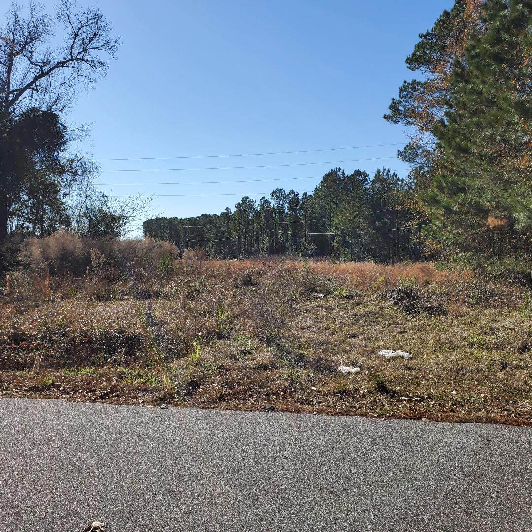 0 Tuskegee Drive - Photo 1