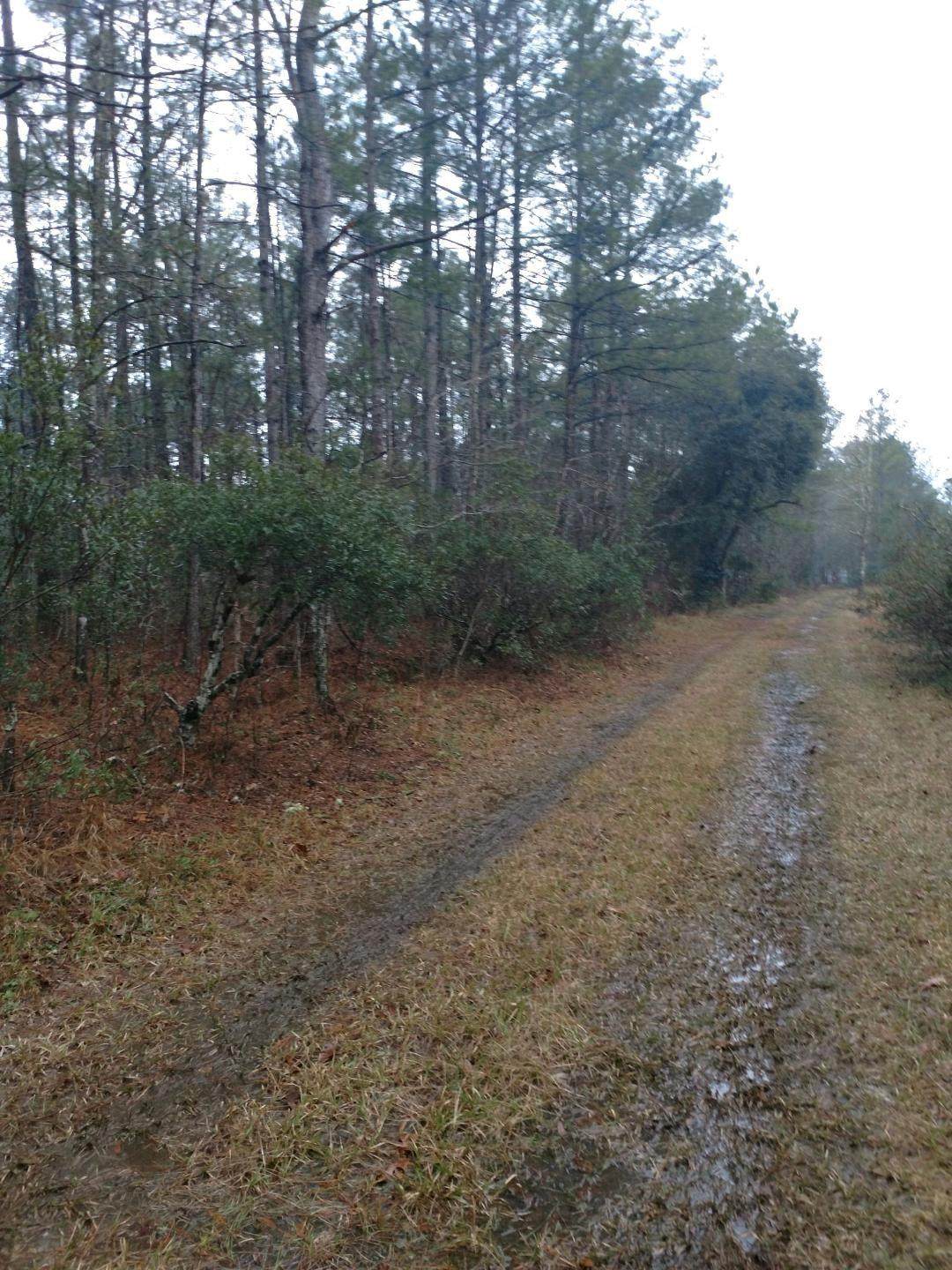 131 Hendorrich Trail - Photo 1