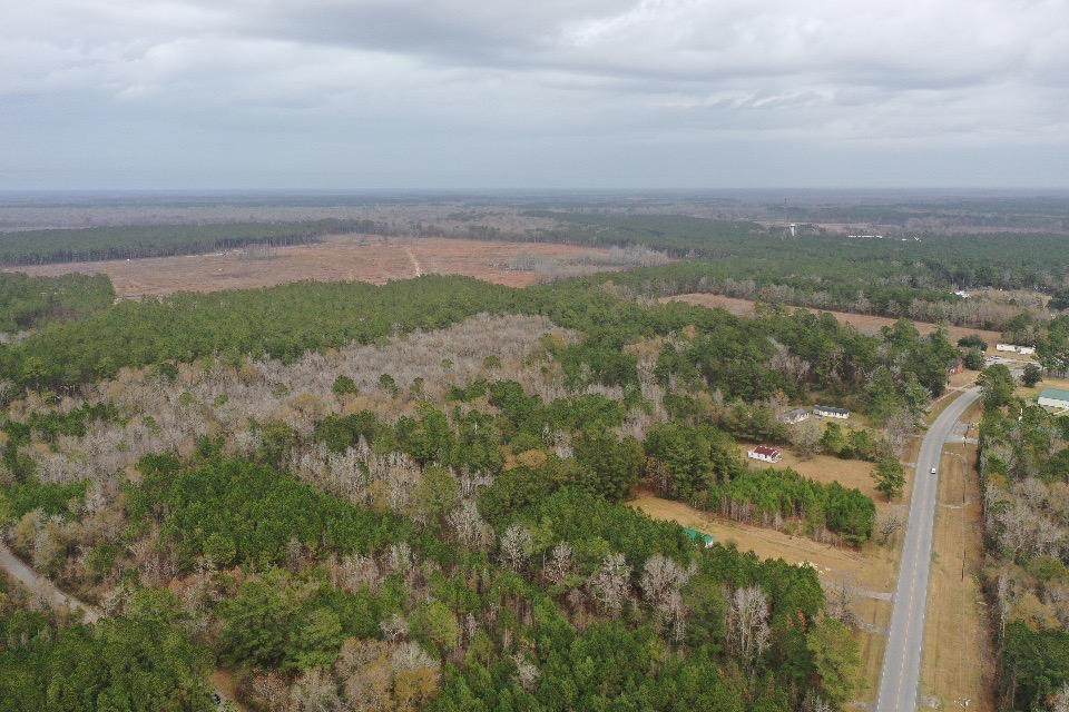 0 N Hwy 17A - Photo 1