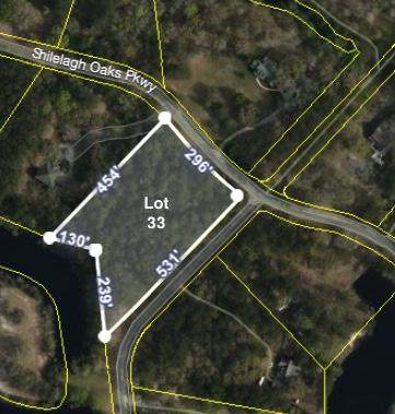 0 Shilelagh Oaks Parkway - Photo 1