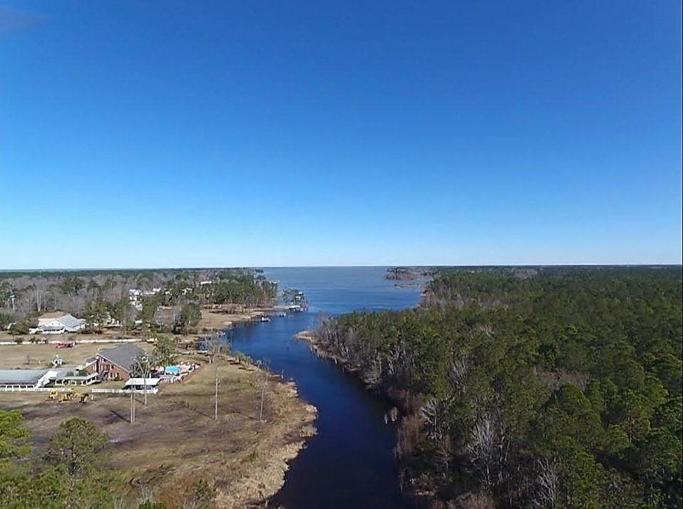 1426 Pinopolis Road - Photo 1