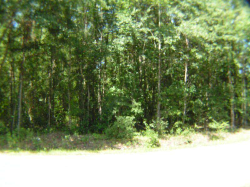 0 Utsey Hill Road - Photo 1