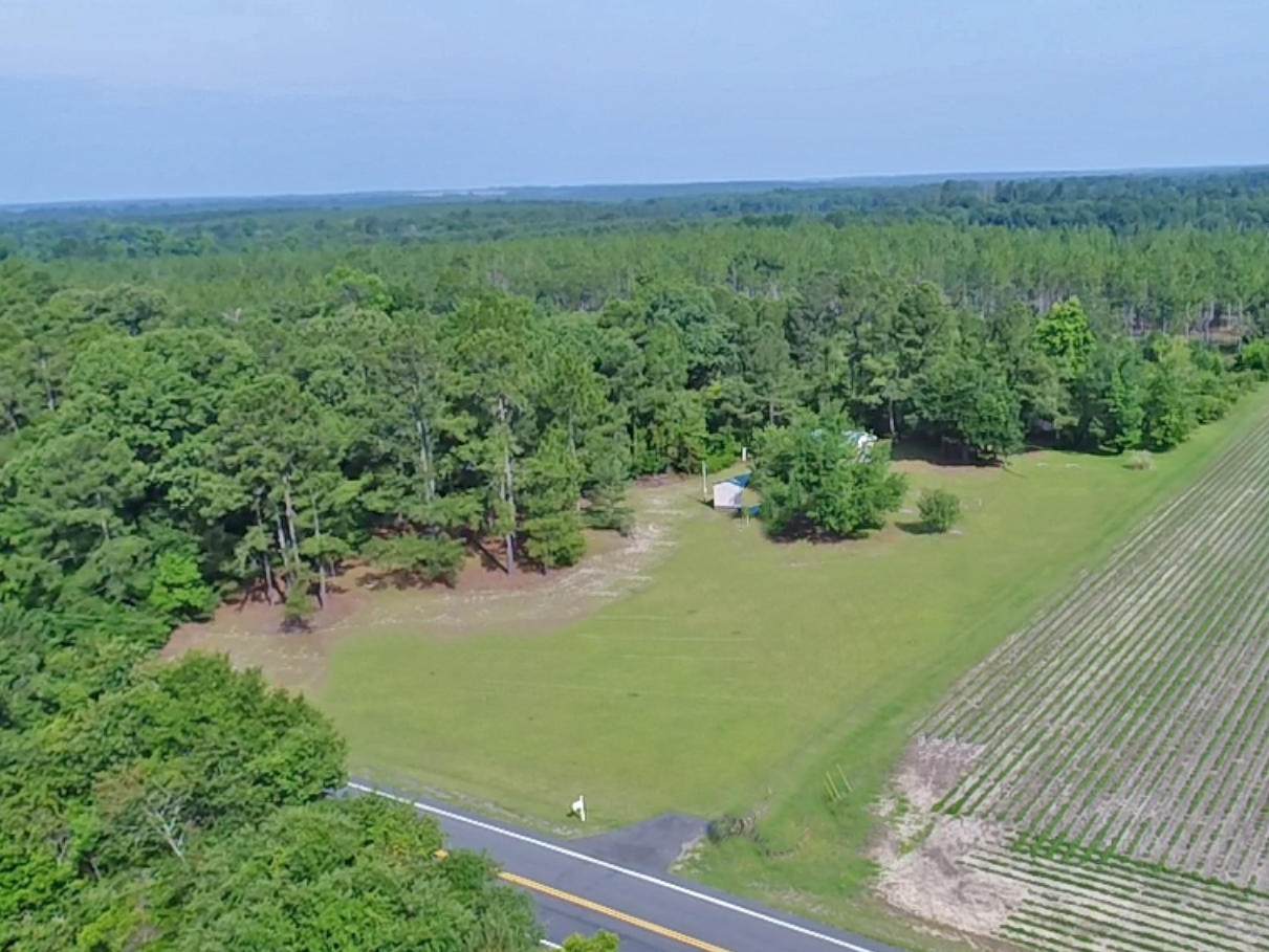7133 Cameron Road - Photo 1