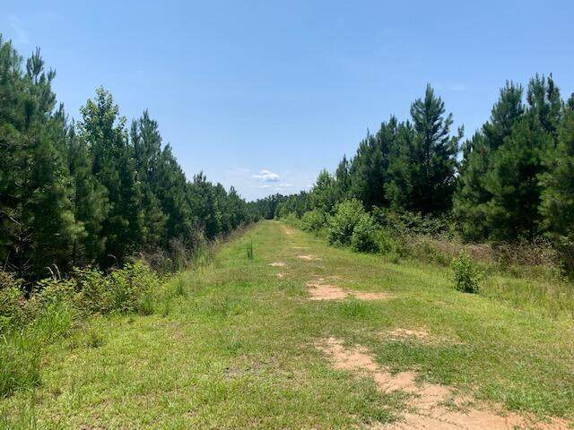 0 Cedar Swamp Road - Photo 1